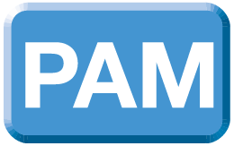 PAM(Pulse Amplitude Modulation)